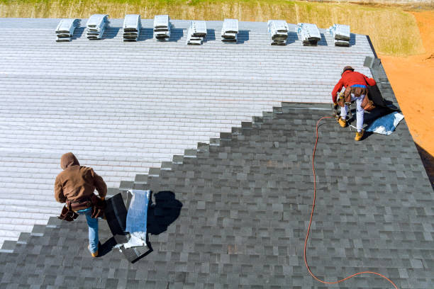 Best Roof Ventilation Installation  in Lino Lakes, MN