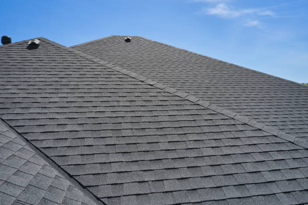 Best Metal Roofing Installation  in Lino Lakes, MN